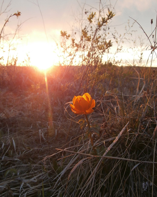 ����� � ������