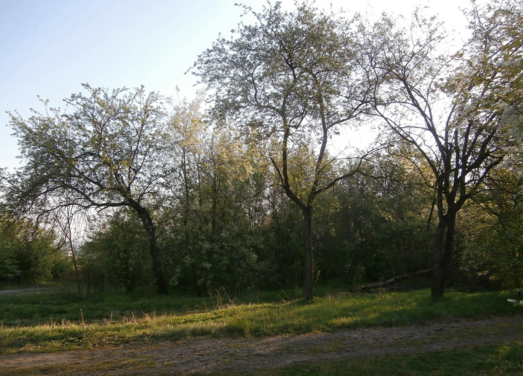 ����� � �����