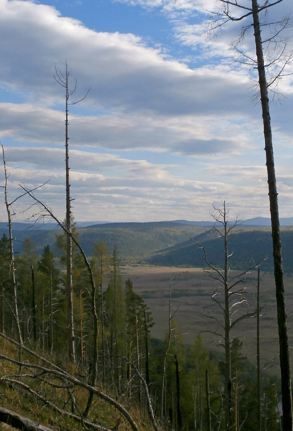 ��� ������� ������