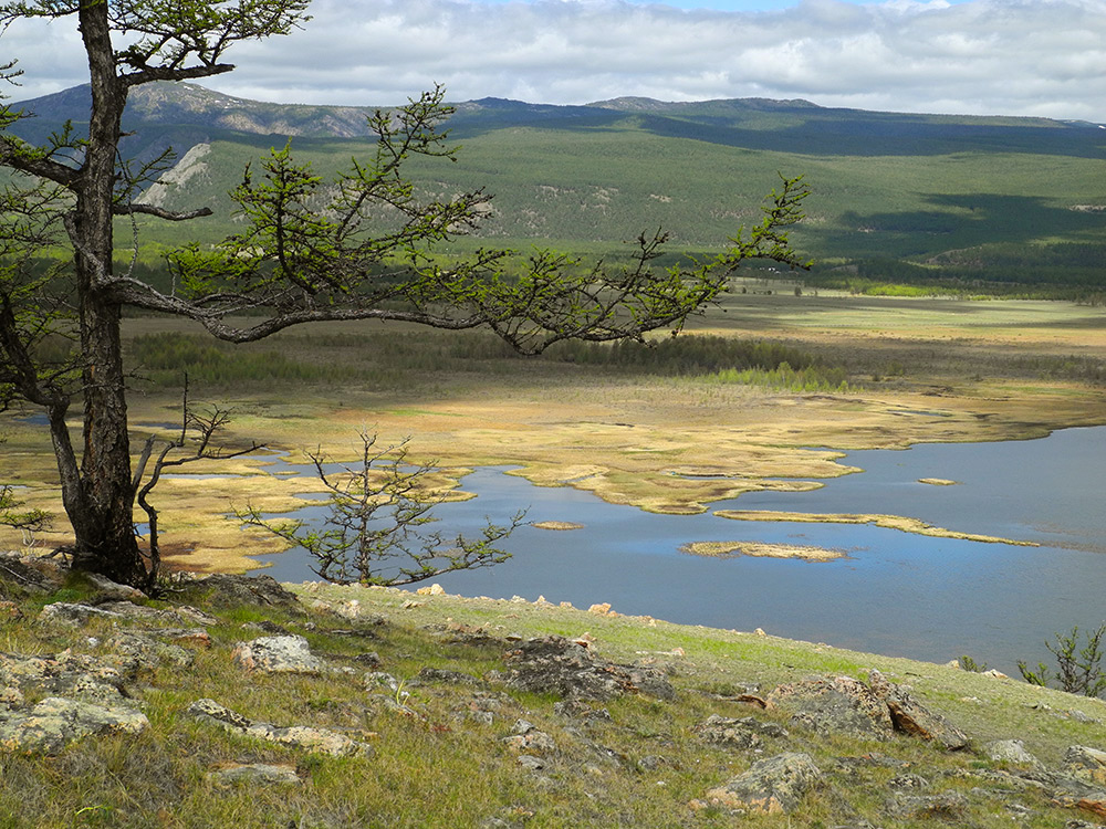 �� ��������