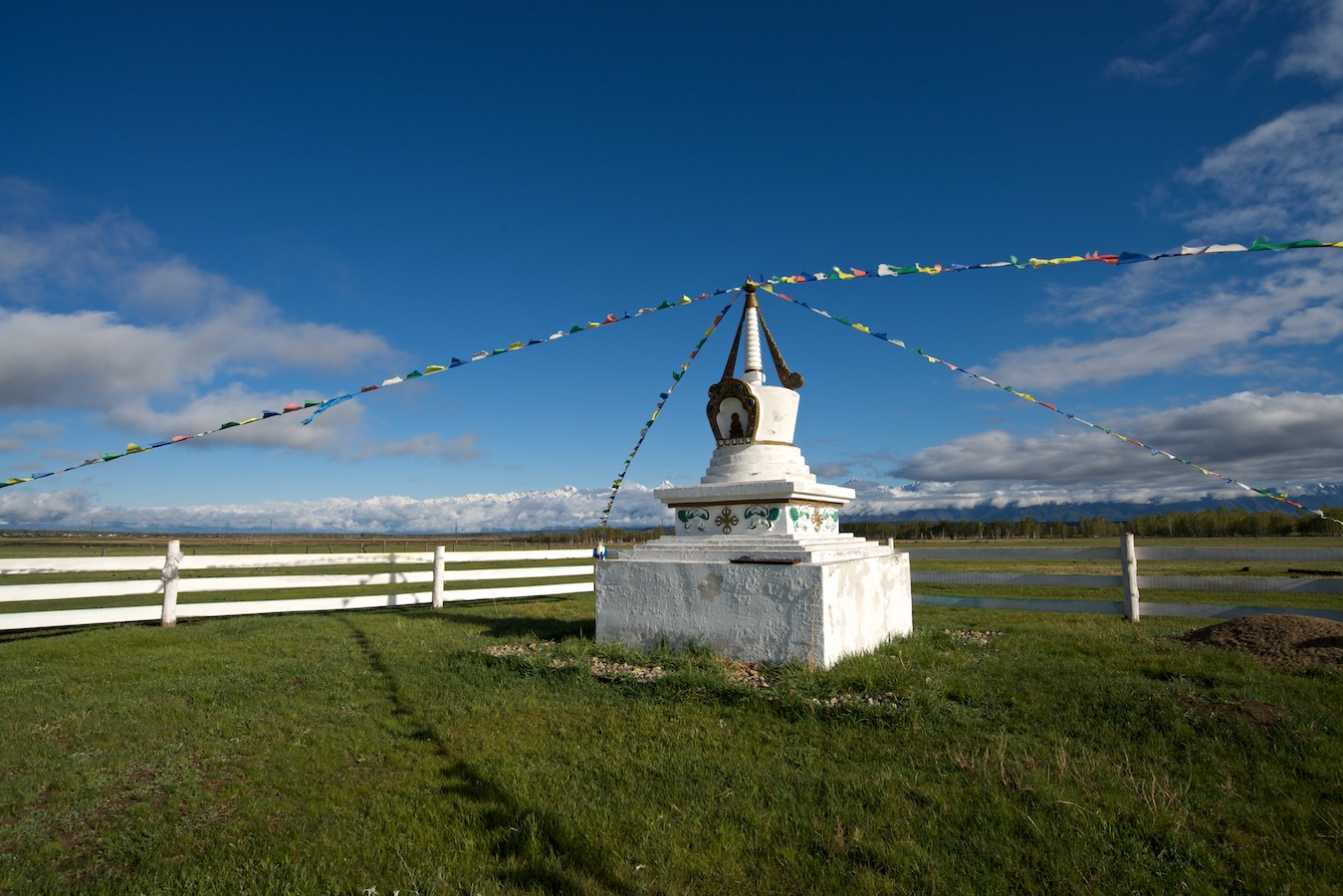 ����� ���� ������