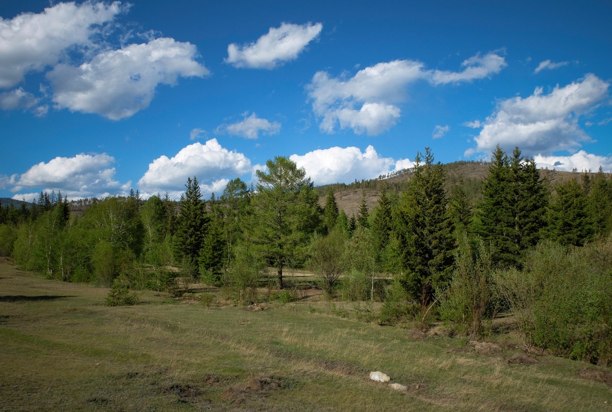 ����� ���