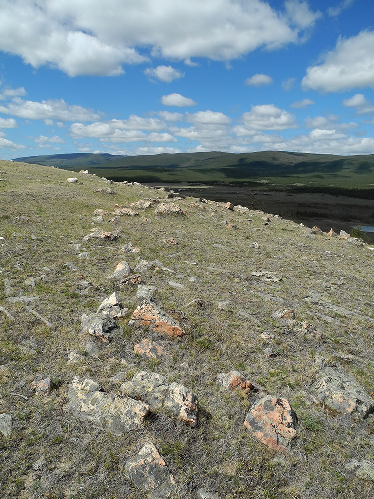 ������ ������� ������...