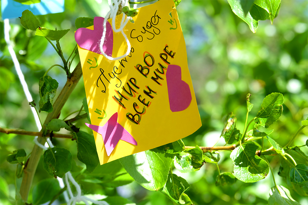 � ���� Þɣ����� ����� !