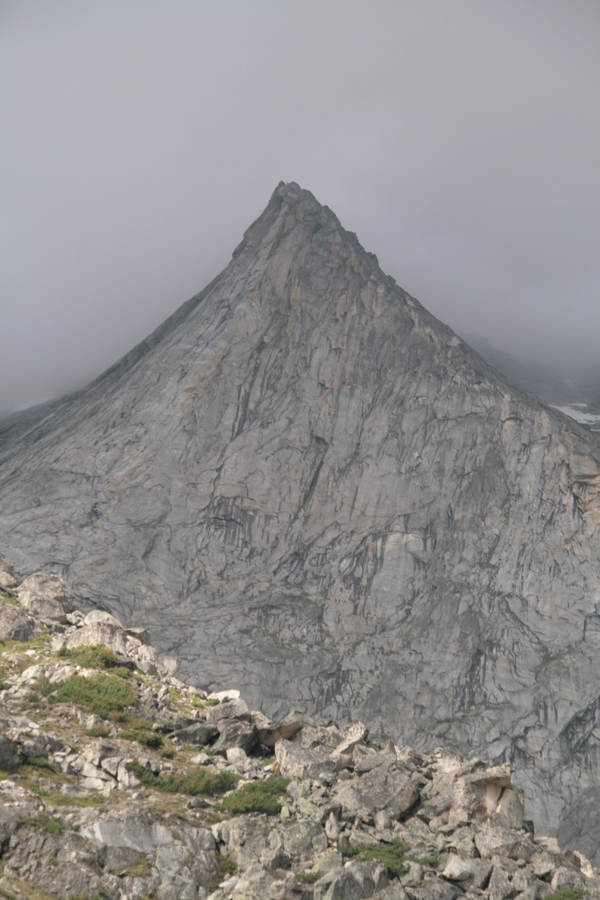 ���� �� ���������� ������ ������