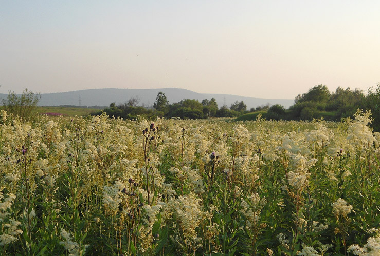 �������� ������