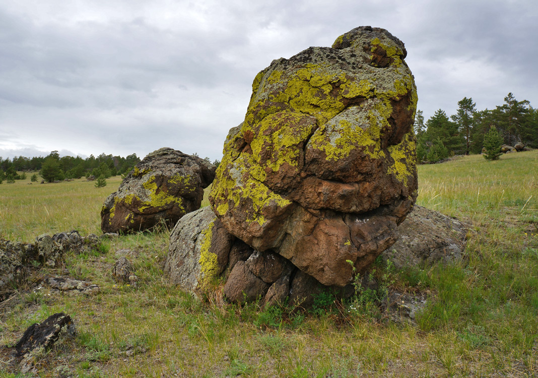 �������� �����