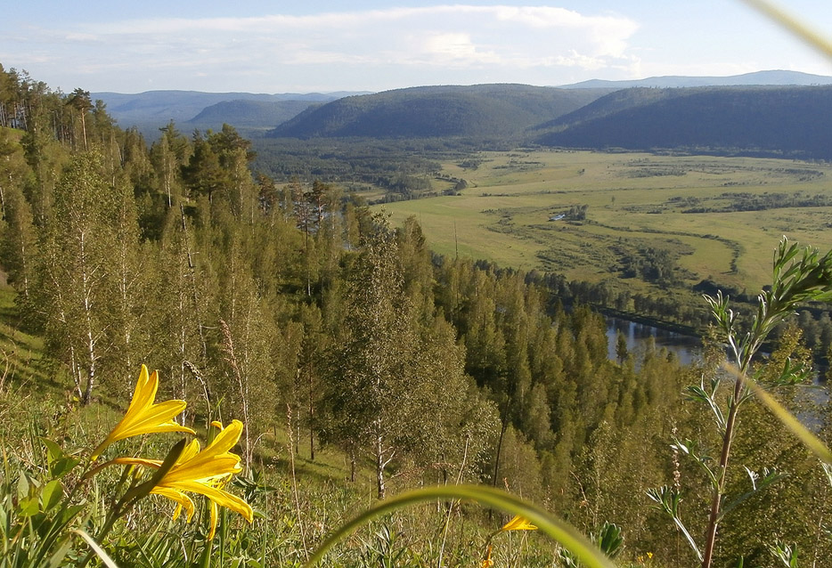 ������ ������