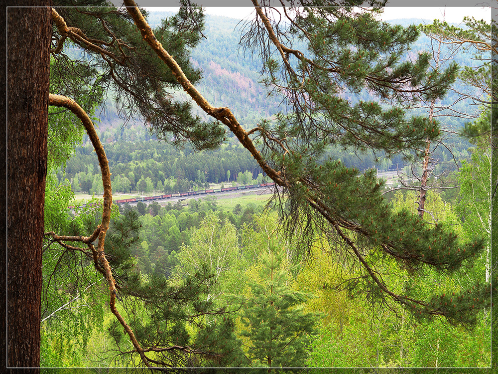 ��� � ���� �-�� ��. ������.