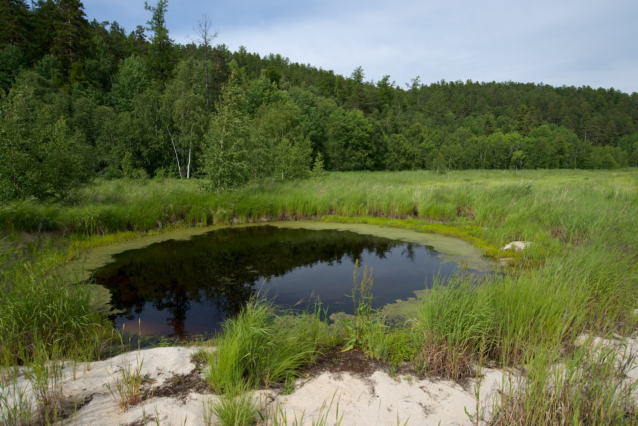 ������ � �����