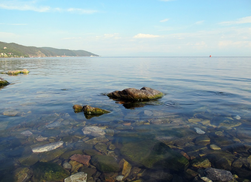 ���� ������...