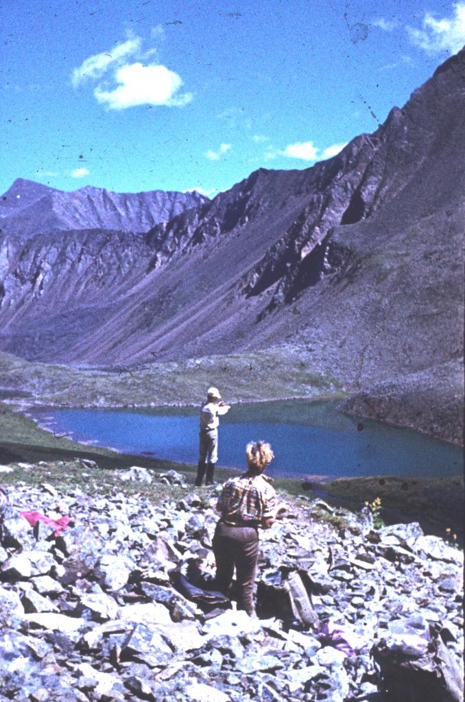 ����� �����-���