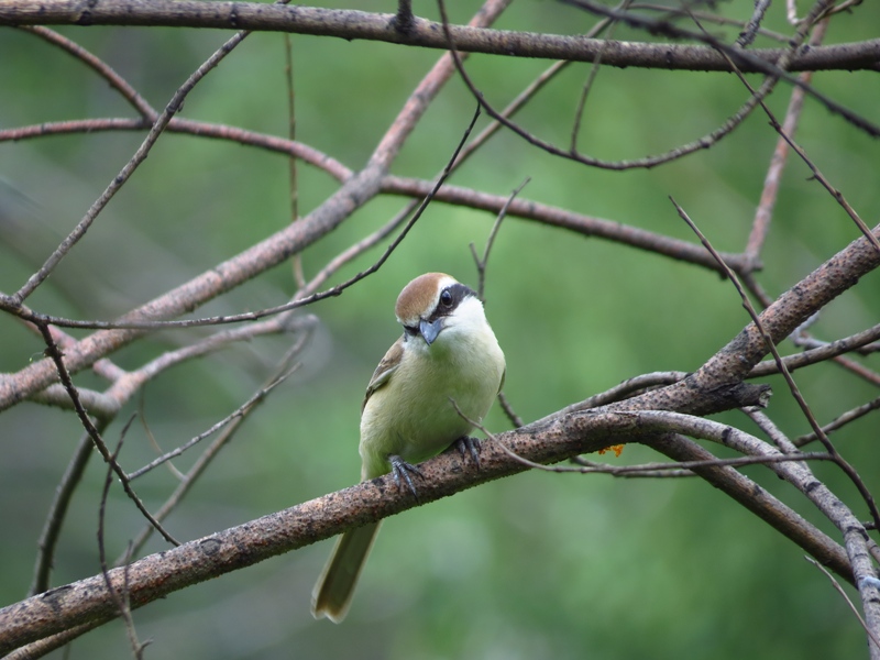 � ��� � �������� � ����������