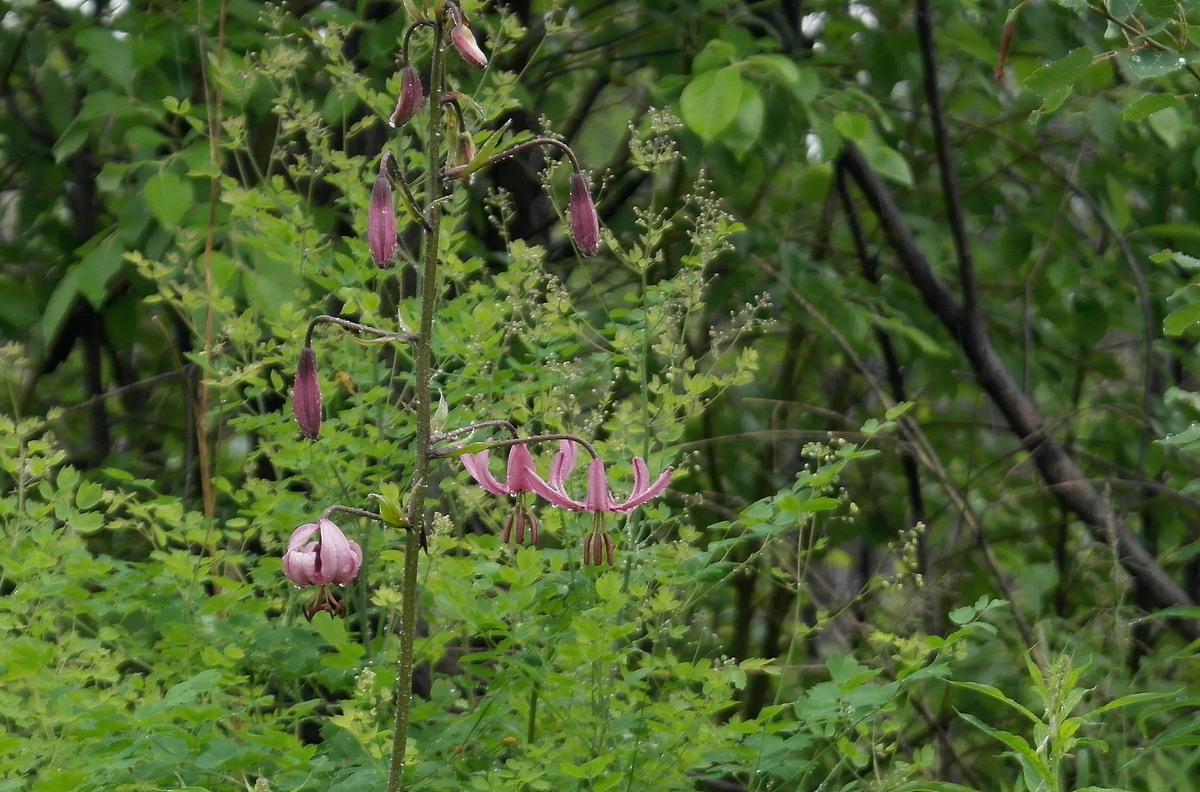 11.52. ����� �������, ��� ����������, ��� ������