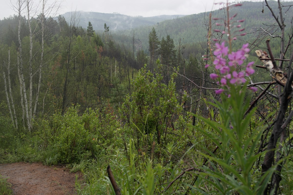 12.16. �� �������� �� ������. ���� ����� - ����, � ���� � ������� (����-���)