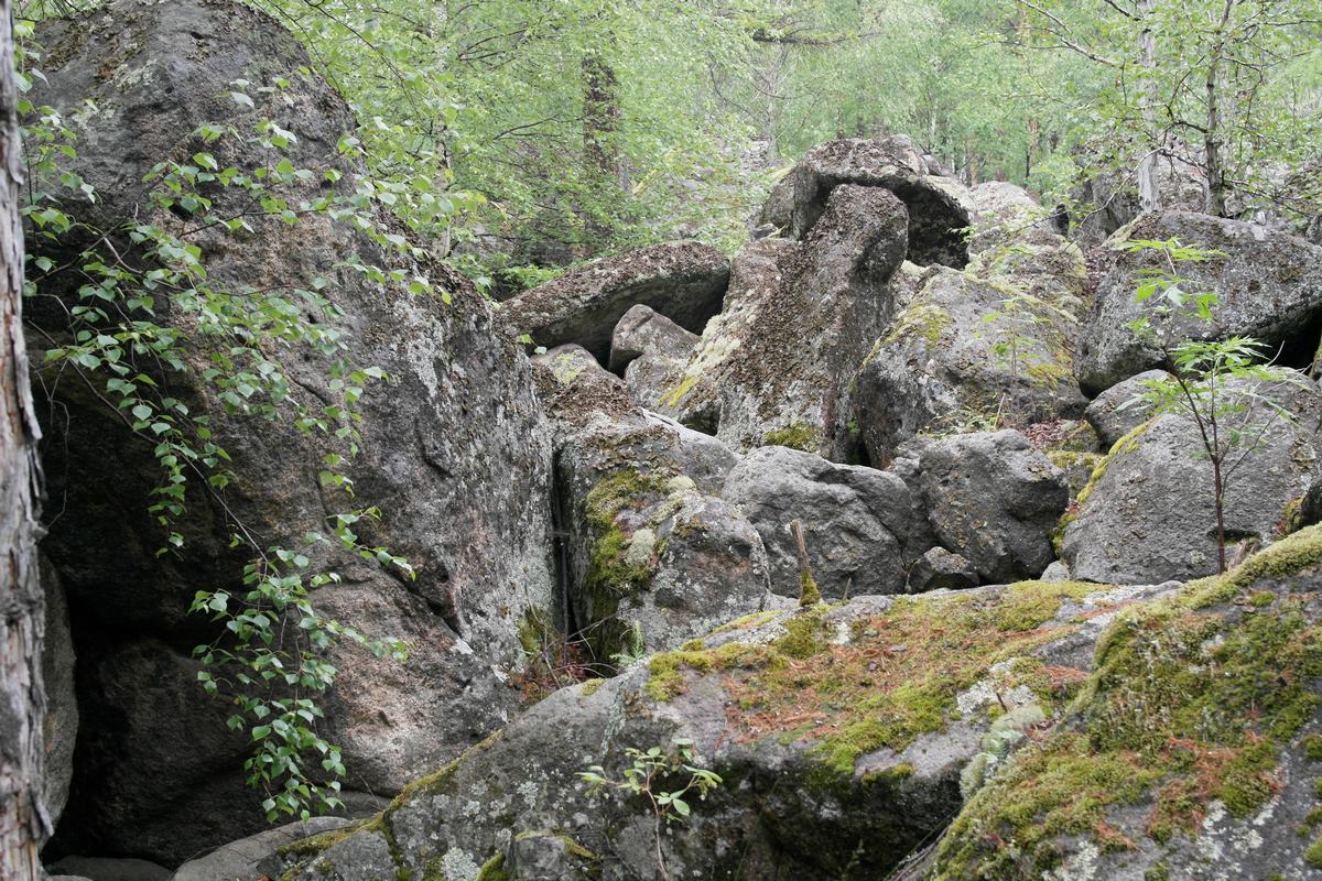 15.14. � ��� ����� �� �����������, � ��� ������������� ������ ������� ����������.