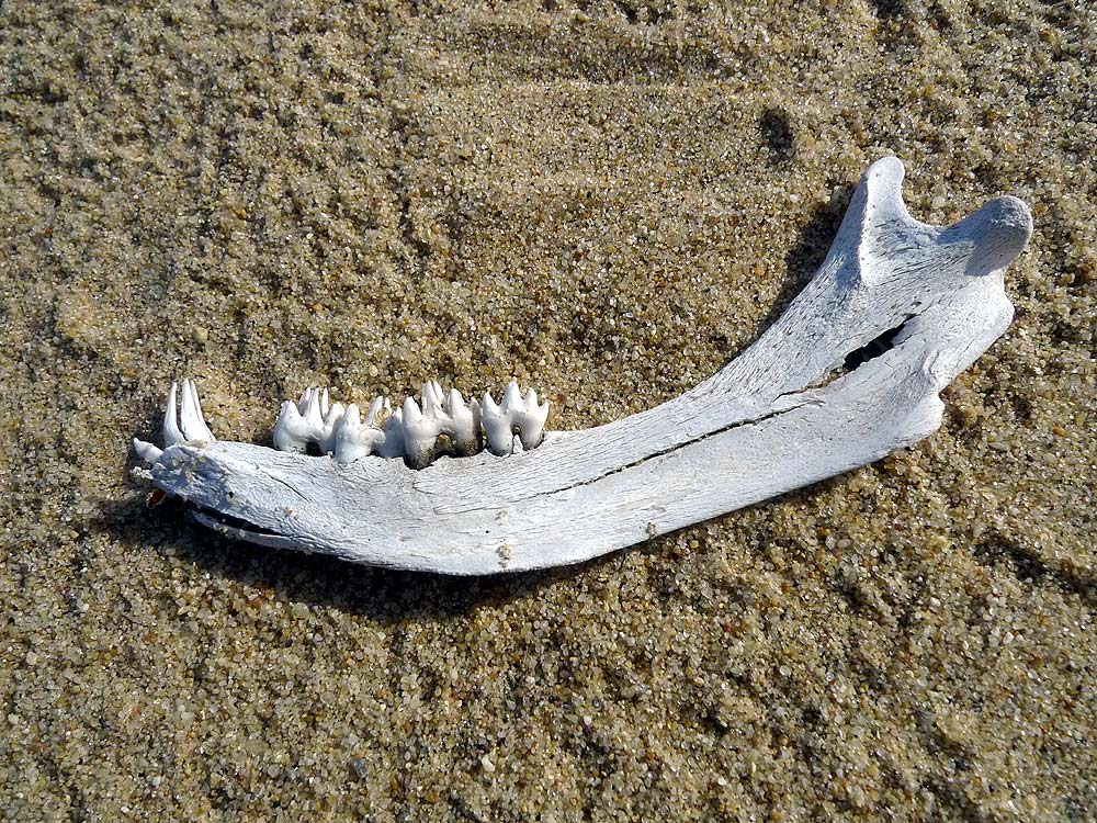 ����������� �6. ��� ������� �������?