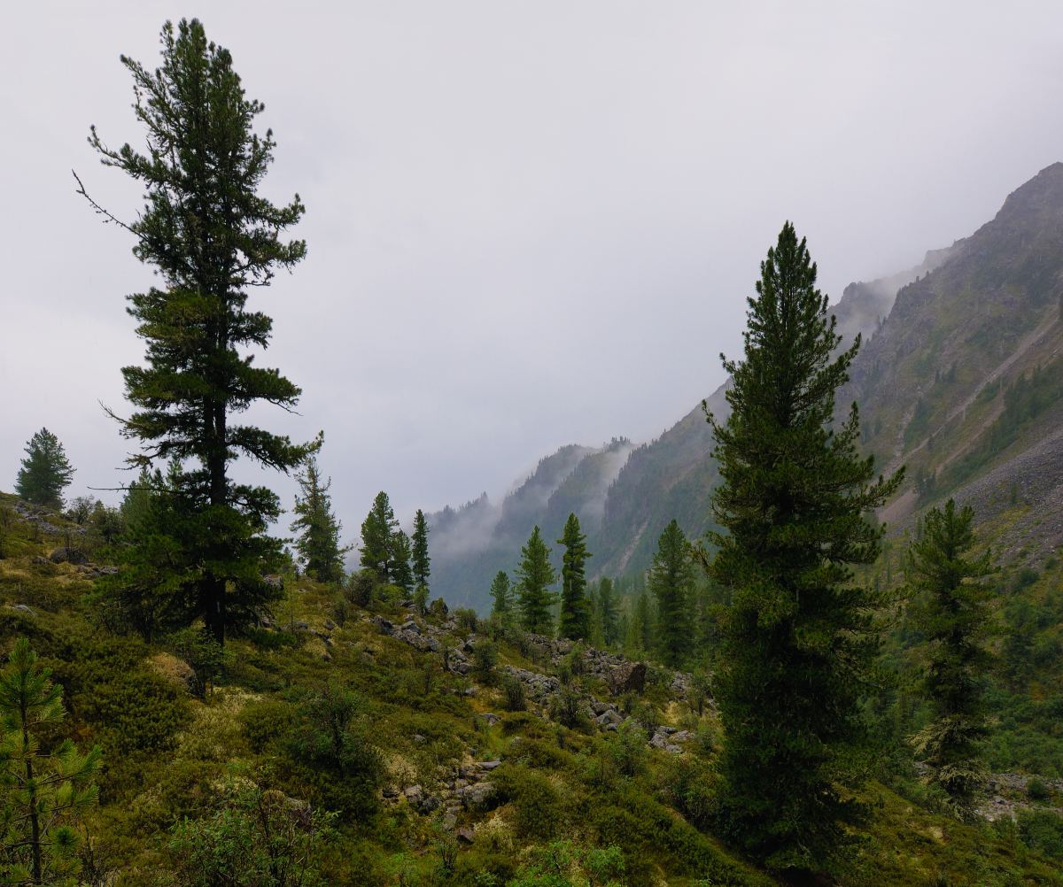 ����� � ���� ���� ���-��������