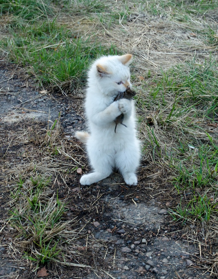 ������� �� ������