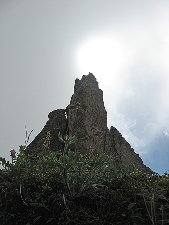 ������� ���������