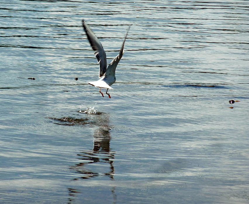 ����-������