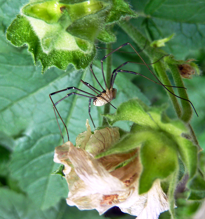 ��������� :)