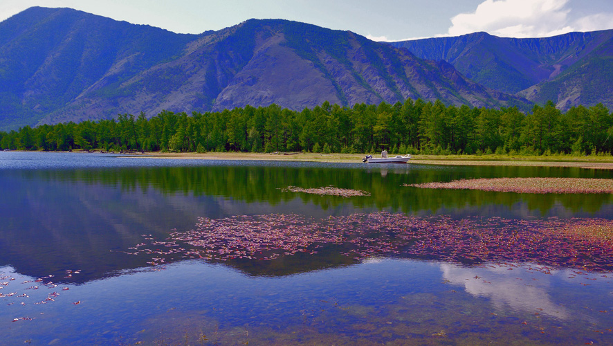 � �������...