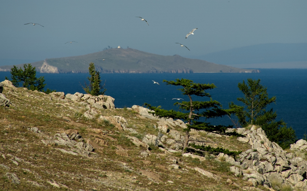 ��� �� ����