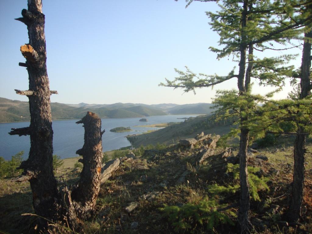 ���� ������, ������, �� �����养