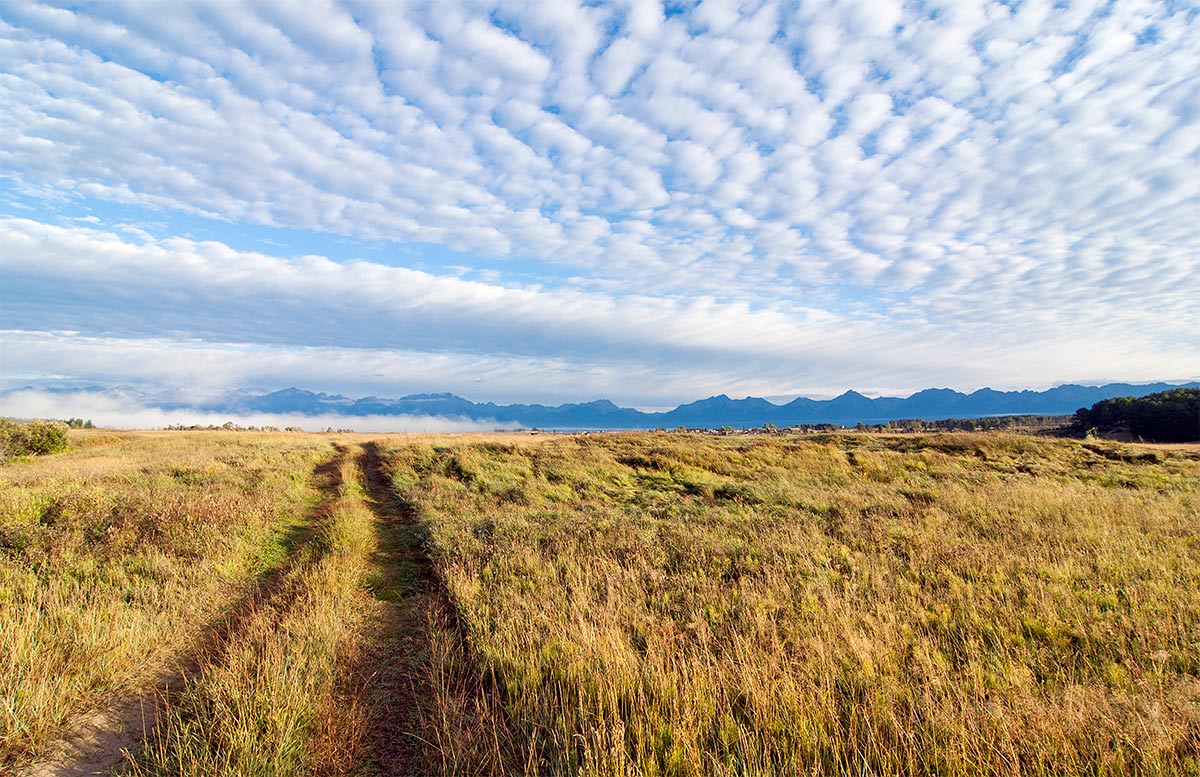 �������� �����