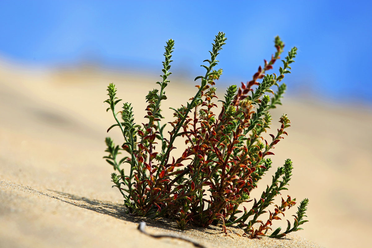 �� ����� "���������� ������"