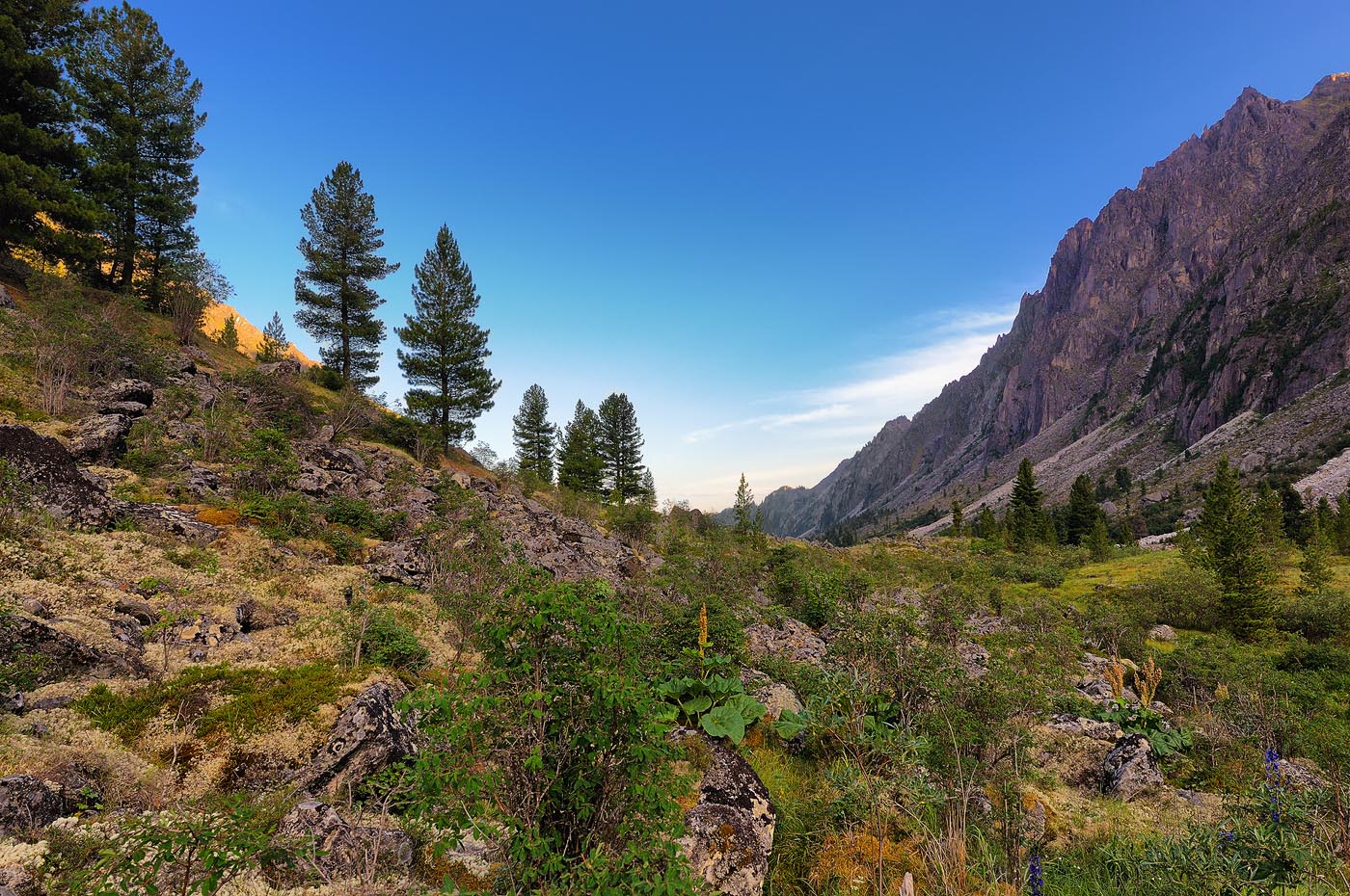 ������ ����� � ������ ���-��������