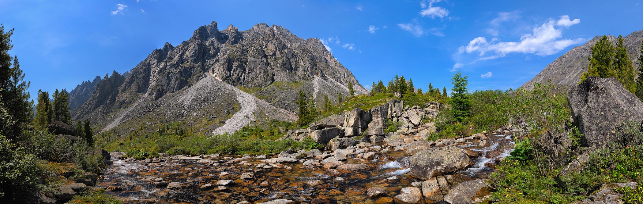 �����-��������