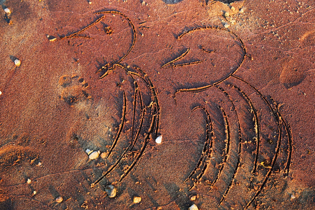 �����... (�� ����� "���������� ������")