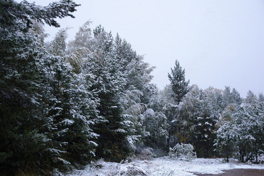 ������������ ��������.