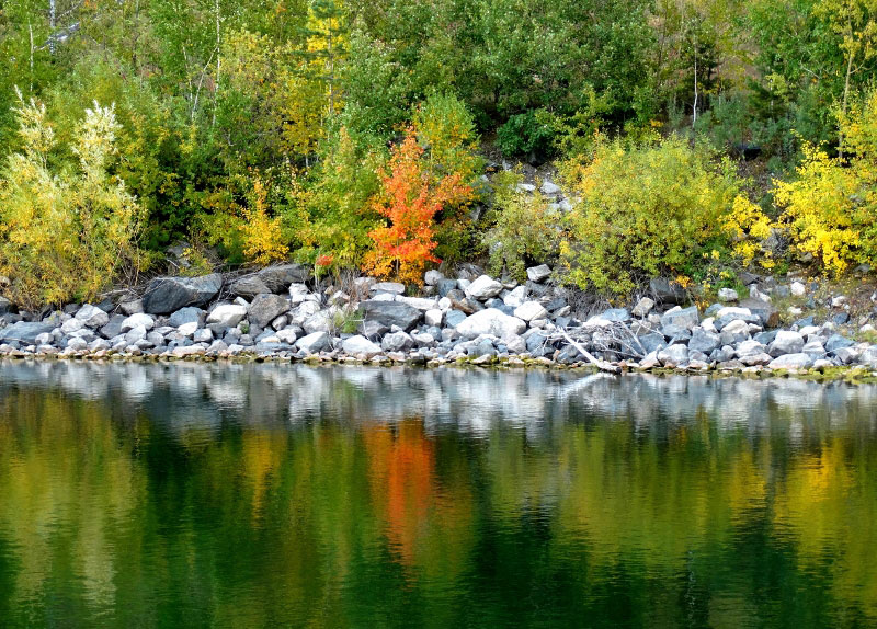 ������� �����