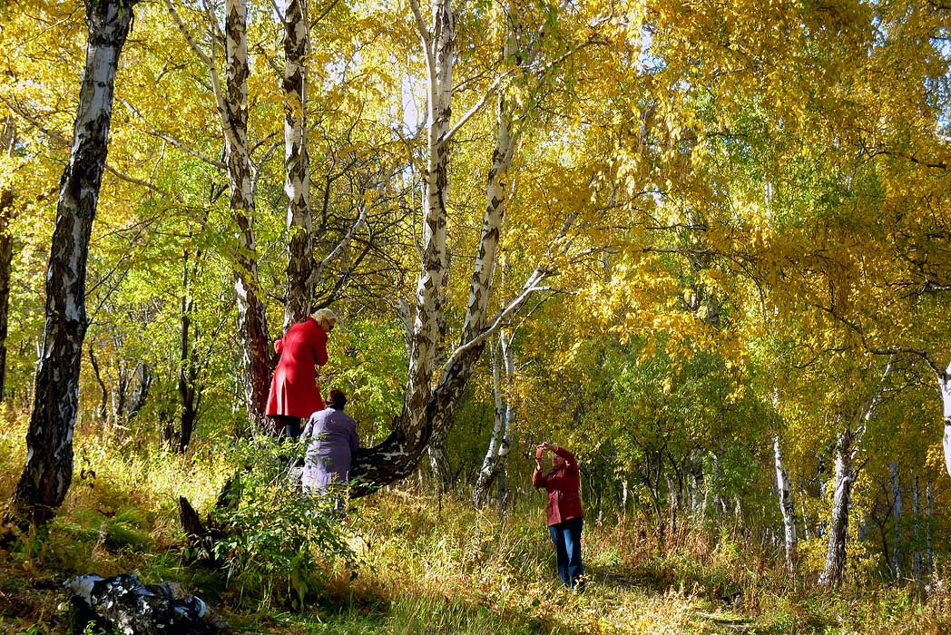 ����� ����