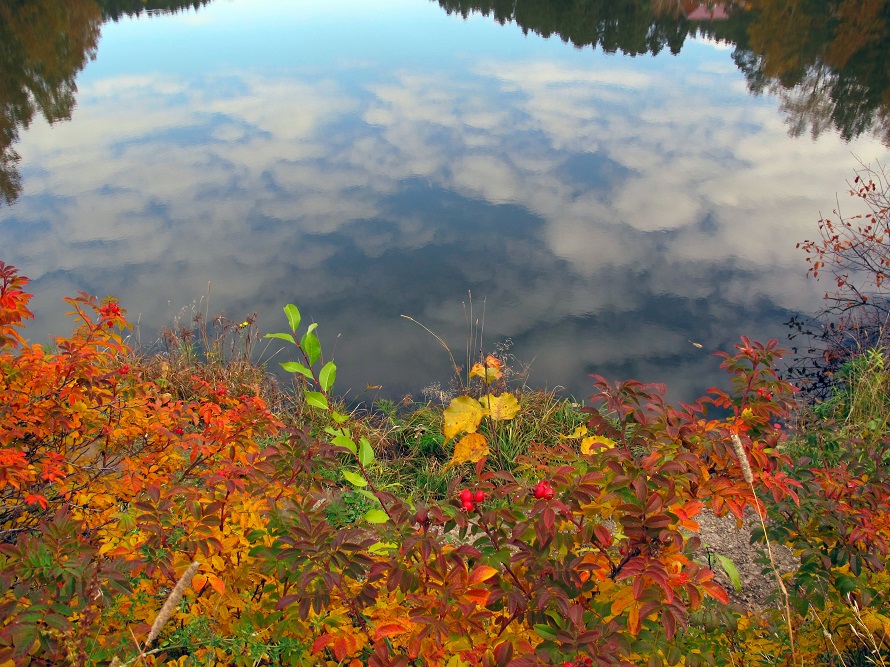 ���������...