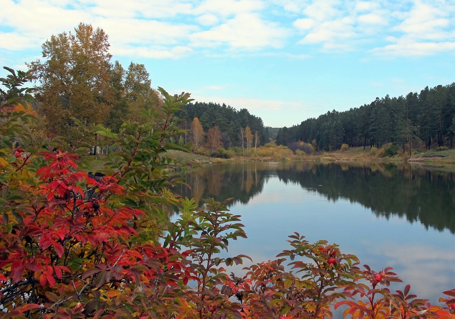 ����� ������...