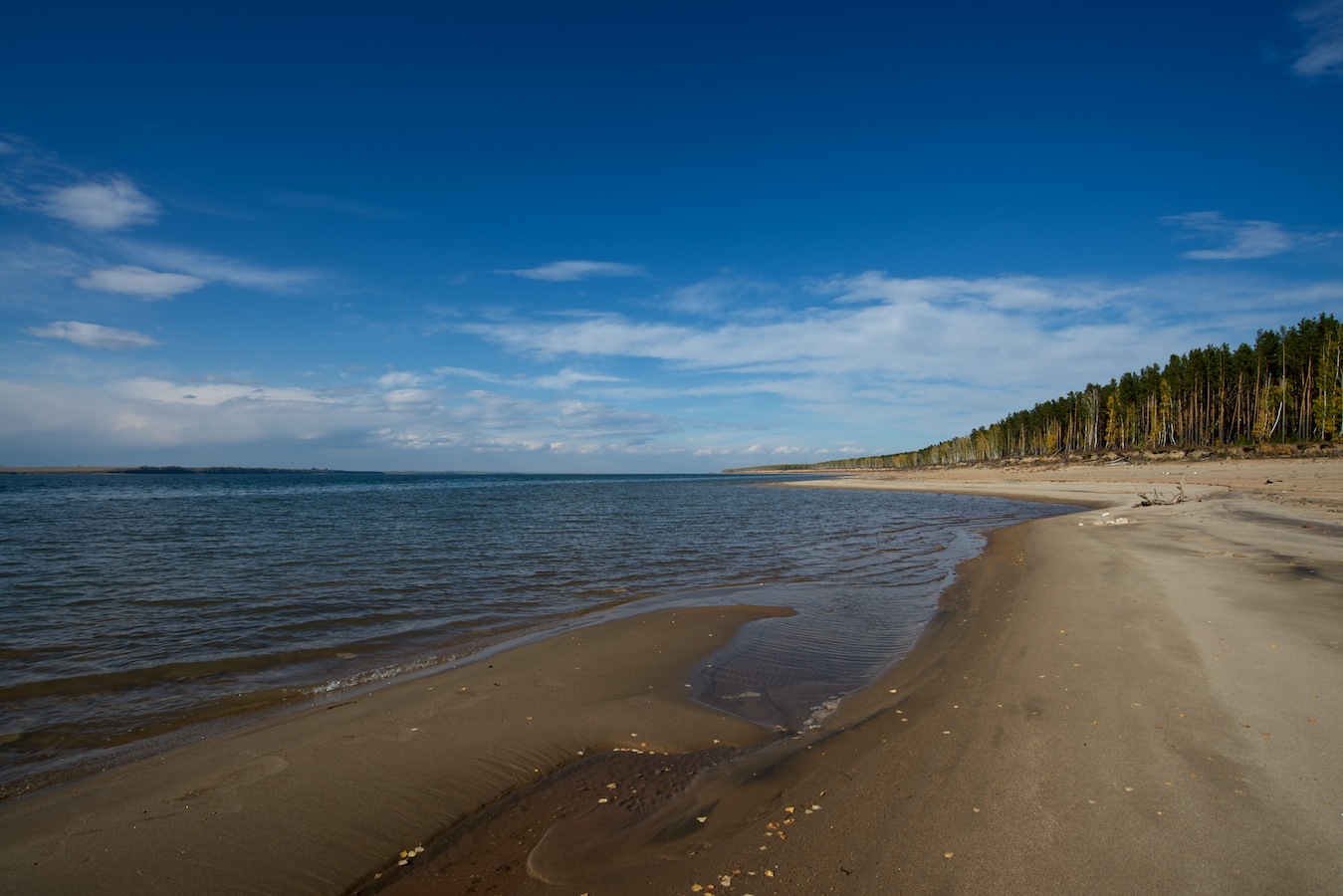 �� ������ ������