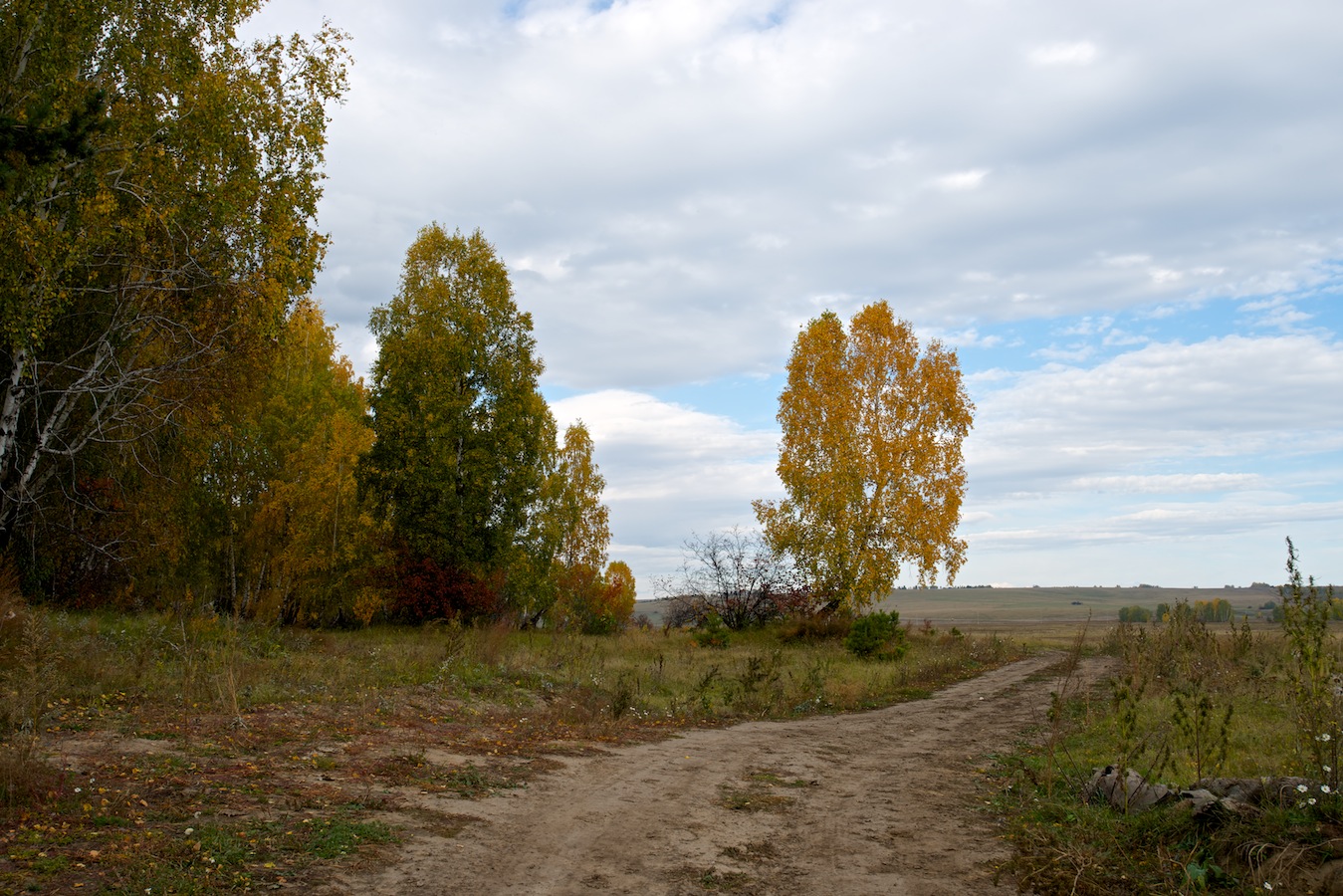 ������� ������