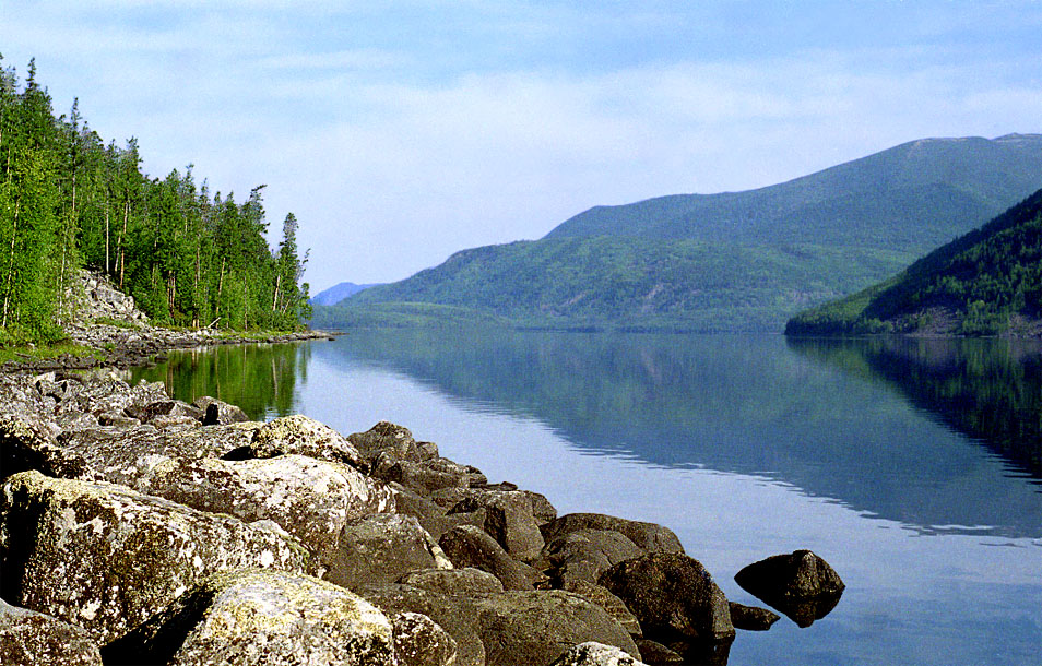 Фролиха