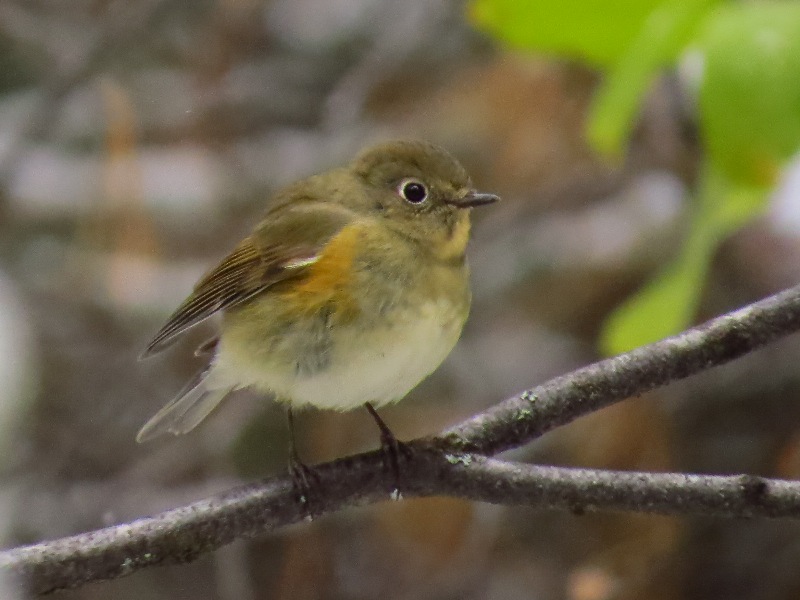 �����������?