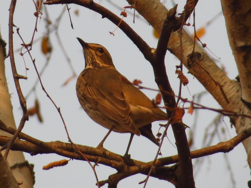 �����. �����?