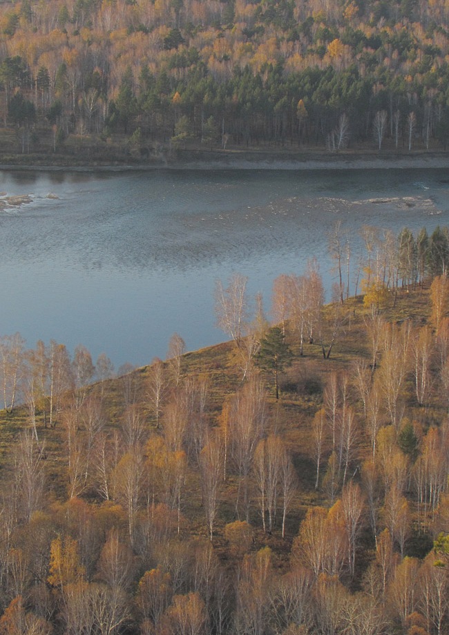 � ����� ���������