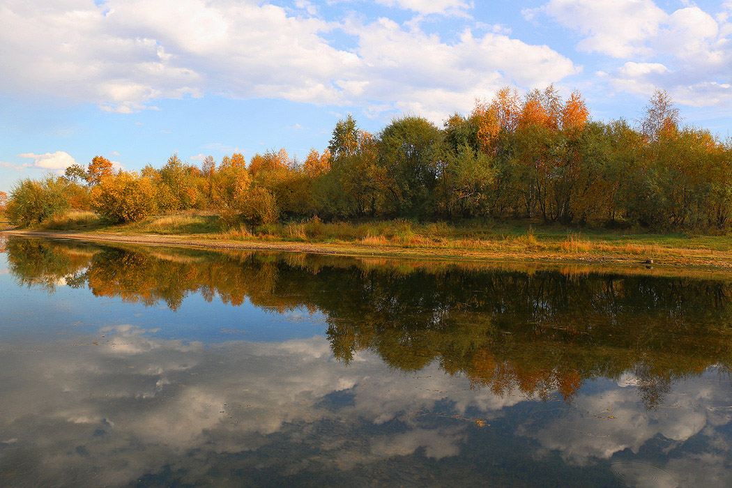 ����� ������. �������