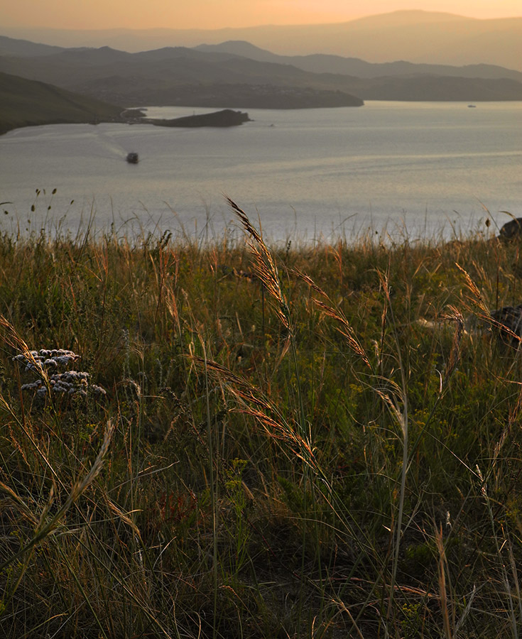 ����� �������