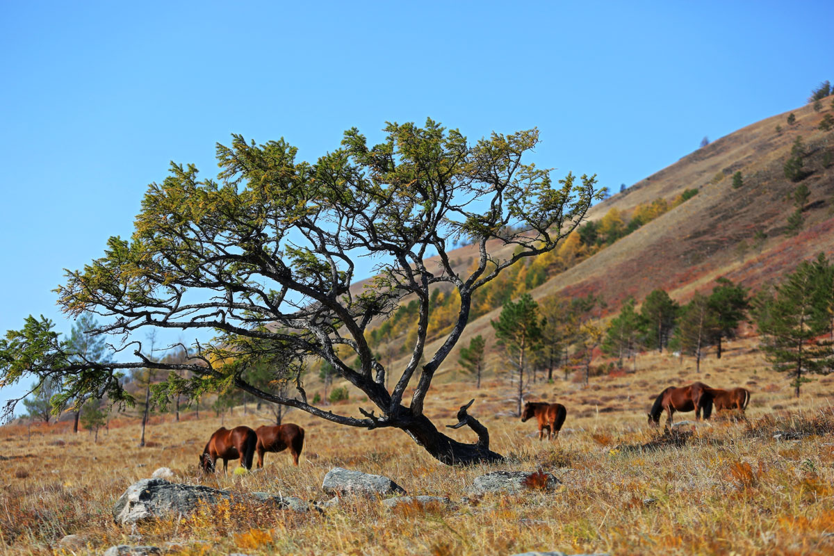 ���������...