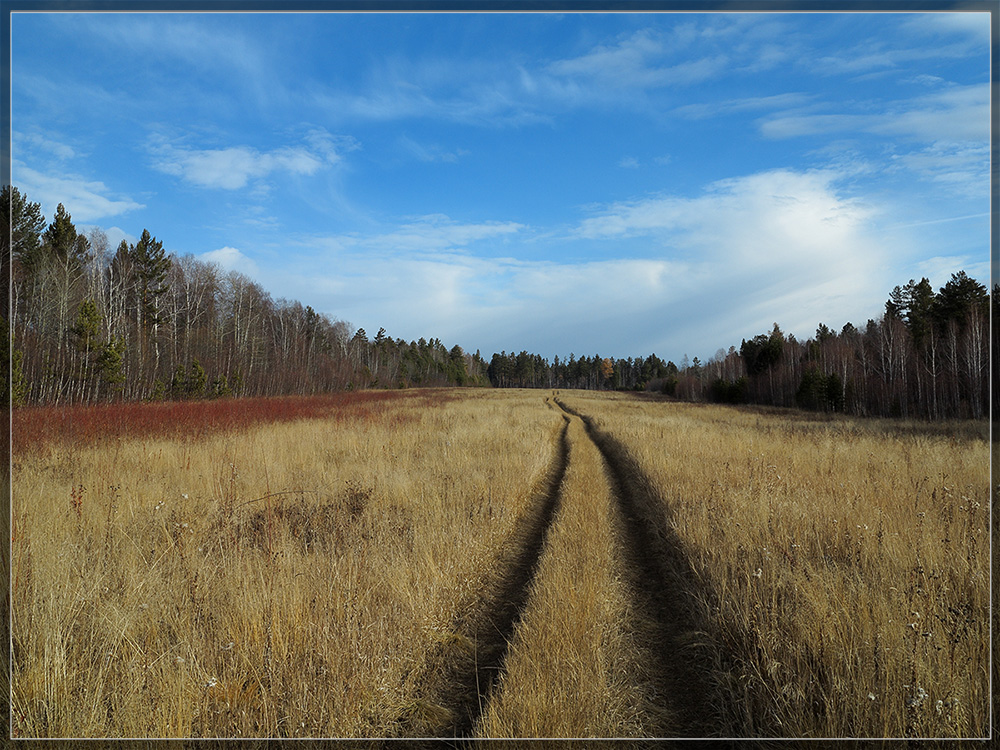 ����� ������