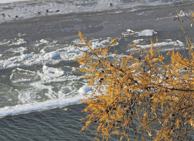 �� ������ �������� �������